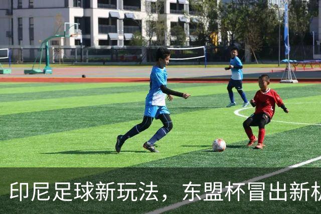 印尼足球新玩法，东盟杯冒出新机会，中国队该不该参与？