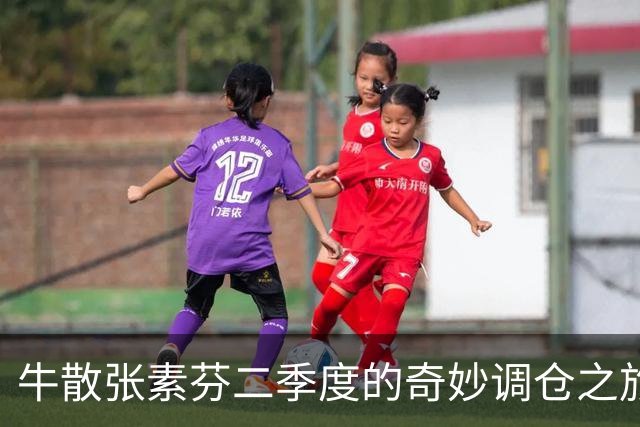 牛散张素芬二季度的奇妙调仓之旅！
